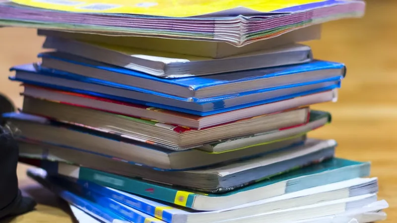 Elevii din clasele IX-XI, fără manuale noi în acest an