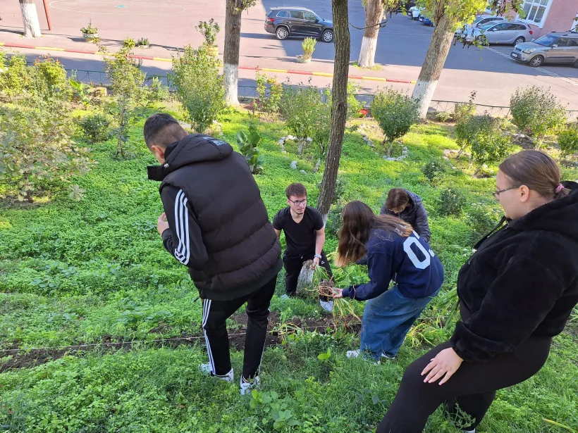 Mini-păduri în curțile școlilor din Galați