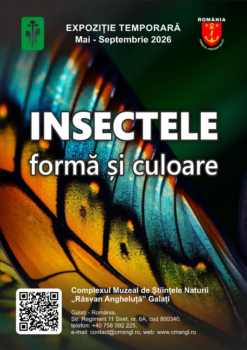 „Insectele – formă și culoare”, expoziție la Complexul Muzeal de Științele Naturii Galați